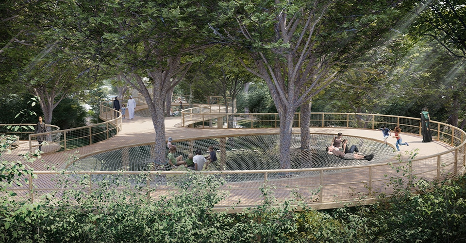 Sequoia — photo 6